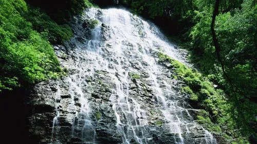 高端绿色独特